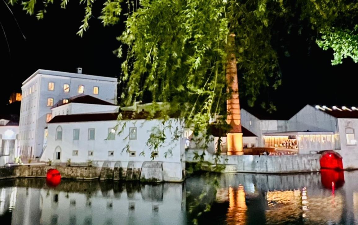 Estudio 81 Junto A Sinagoga تومار المظهر الخارجي الصورة